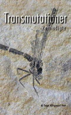 Transmutationer : remixdigte