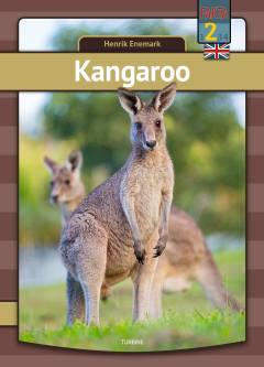 Kangaroo