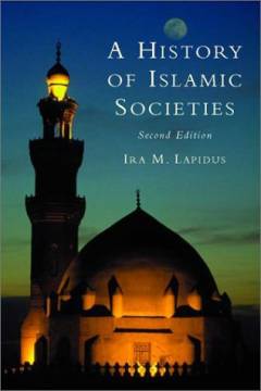 A history of islamic societies
