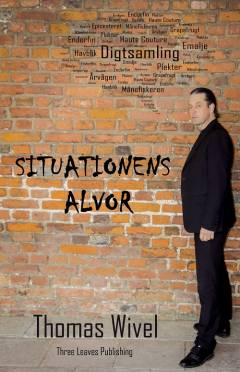 Situationens alvor : digte