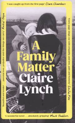 A family matter : a novel