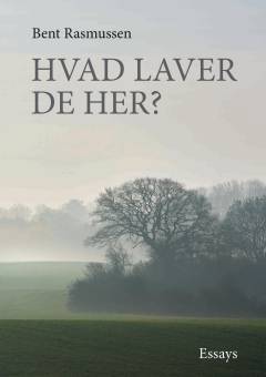 Hvad laver De her? : afsluttende bemærkninger : essays