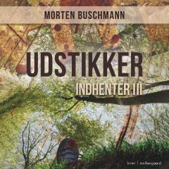 Udstikker