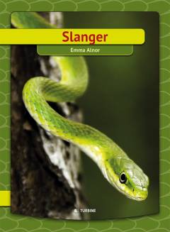 Slanger