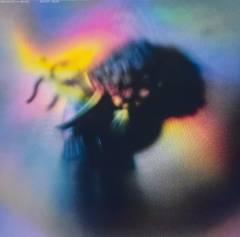 Musik (grammofonplade), ℗2025