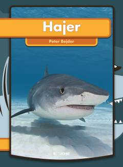 Hajer