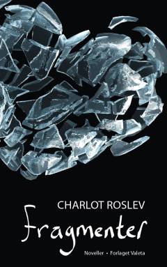 Bog, 1. udgave, 2011