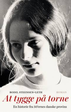 At tygge på torne : en historie fra 50'ernes danske provins