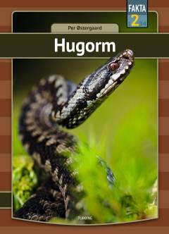 Bog, 1. udgave, 2021