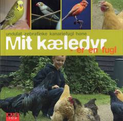 Mit kæledyr er en fugl : undulat, zebrafinke, kanariefugl, høne
