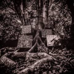 Musik (cd), ℗2017