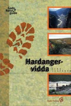 Hardangervidda