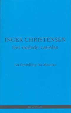 Det malede værelse : en fortælling fra Mantua