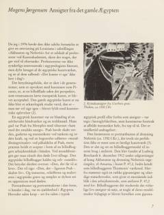 Ansigter : en temabog