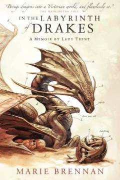 In the labyrinth of drakes