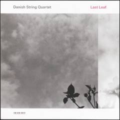 Last leaf