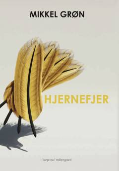 Hjernefjer
