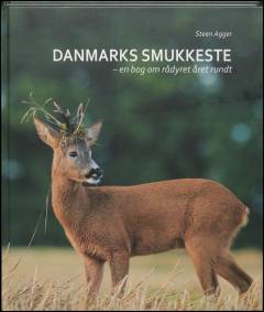 Danmarks smukkeste : en bog om rådyret året rundt