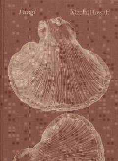 Fungi
