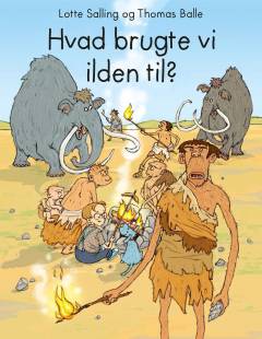 Hvad brugte vi ilden til?