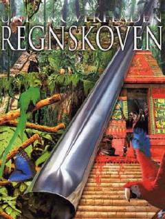 Regnskoven - under overfladen