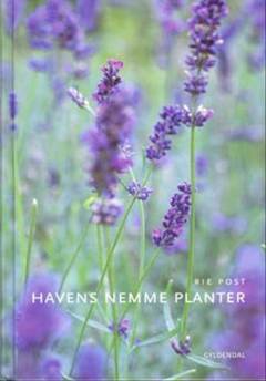 Havens nemme planter