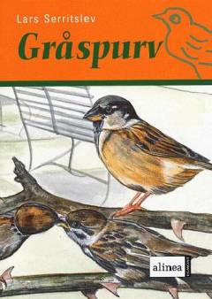 Gråspurv
