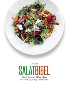 Salatbibel : alle de lækreste, fyldige salater året rundt og på højst 20 minutter