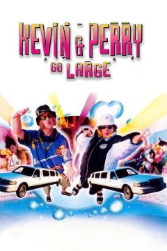 Film (dvd), 2008