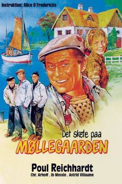 Film (dvd), 2004