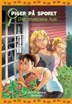 Det mystiske hus