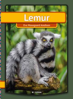 Lemur