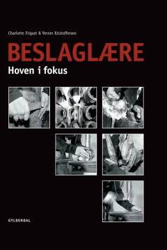 Beslaglære : hoven i fokus