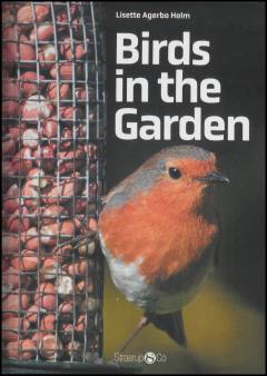 Birds in the garden