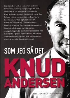 Som jeg så det
