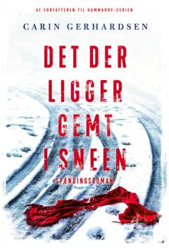 Det der ligger gemt i sneen : spændingsroman