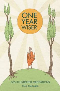 One year wiser : 365 illustrated meditations