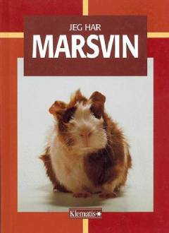 Jeg har marsvin