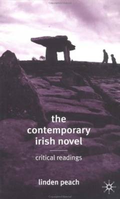 The contemporary Irish novel : critical readings
