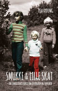 Smukke & lille skat : en familiehistorie om overgreb og tavshed