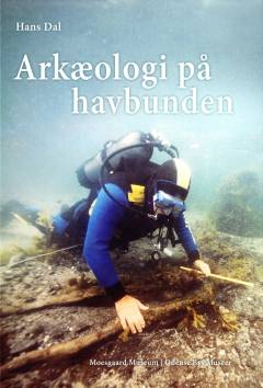 Arkæologi på havbunden : historien om udgravningen af en stenalderboplads i Tybrind Vig