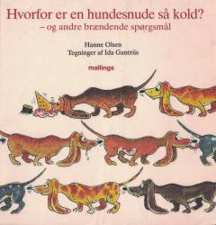Hvorfor er en hundesnude så kold? og andre brændende spørgsmål