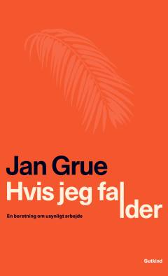 Hvis jeg falder : en beretning om usynligt arbejde