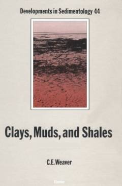 Clays, muds, and shales