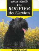 The Bouvier des Flandres