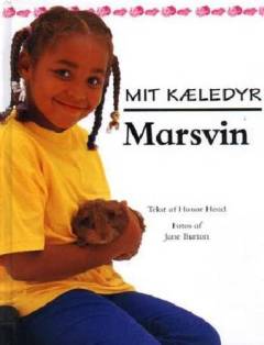 Marsvin
