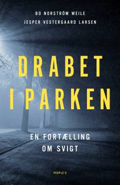 Drabet i parken : en fortælling om svigt