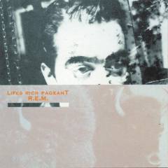 Lifes rich pageant