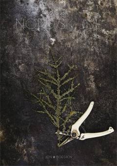 Nordisk jul