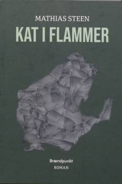 Kat i flammer